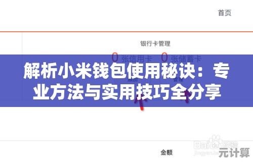 解析小米钱包使用秘诀：专业方法与实用技巧全分享