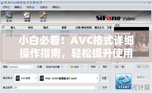 小白必看！AVC格式详细操作指南，轻松提升使用效率