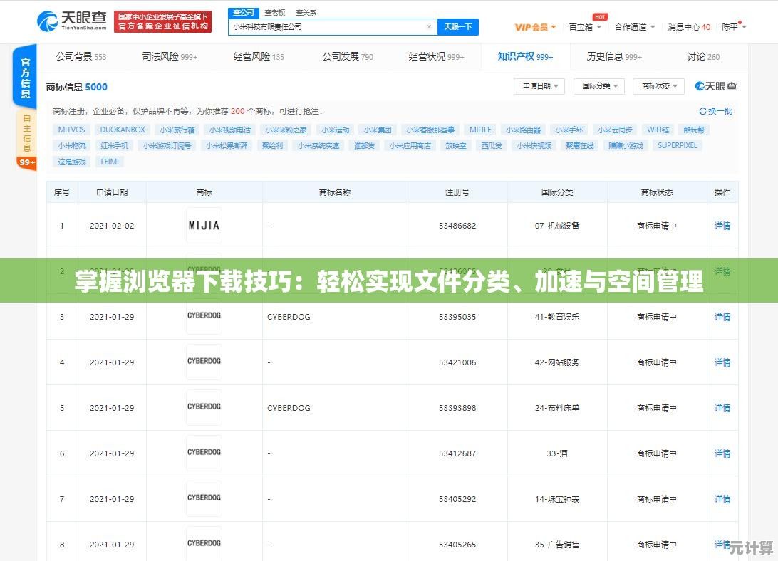 掌握浏览器下载技巧：轻松实现文件分类、加速与空间管理