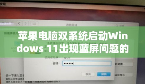 苹果电脑双系统启动Windows 11出现蓝屏问题的解决方法