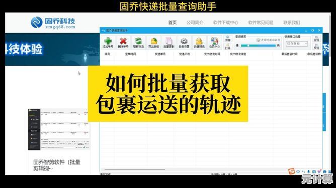 手机号查快递新技巧，高效追踪包裹的实用方法大揭秘