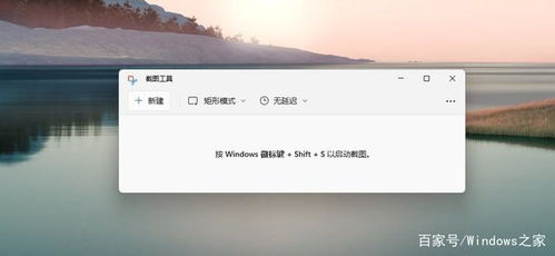 为何Win11截图工具无法使用？详细解析与实用修复方案