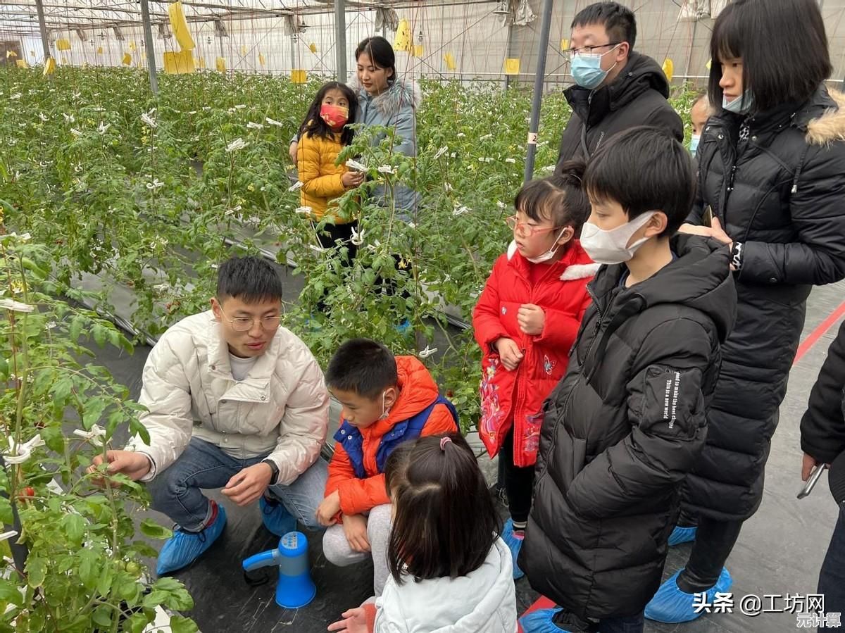 全新发布：植物大战僵尸电脑版免费安装包下载，重温经典游戏时刻！