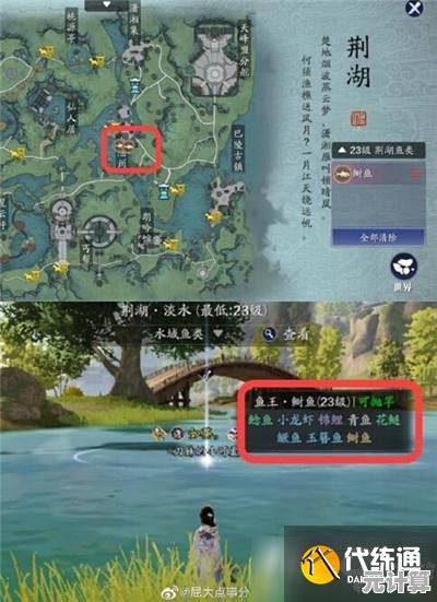 天涯明月刀手游2025年徐海鱼王捕获秘诀，高效钓鱼路线推荐！