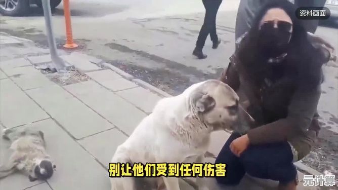 还在等什么？小狗追逐逃生》的刺激冒险你准备好了吗？