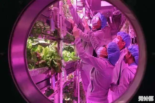 开放空间桃2025：跨次元桃园经营，解锁未来科技农具与奇幻生物协同耕作