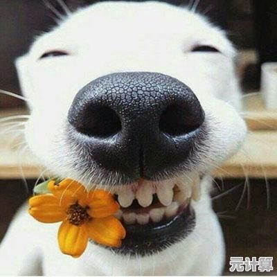 微信QQ记录丢失怎么办？实用恢复技巧让你不再担心！