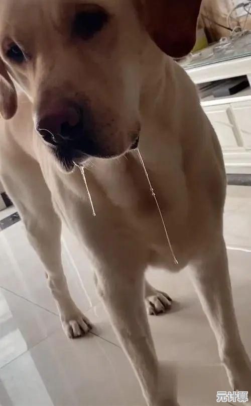 想在《狗的生存(DogSurvivalSimulator)里体验当狗的乐趣？快来和狗狗们一起狩猎玩耍吧！