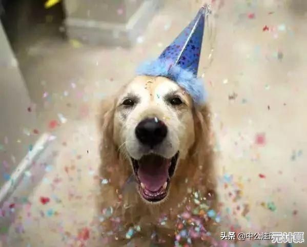 想在《狗的生存(DogSurvivalSimulator)里体验当狗的乐趣？快来和狗狗们一起狩猎玩耍吧！