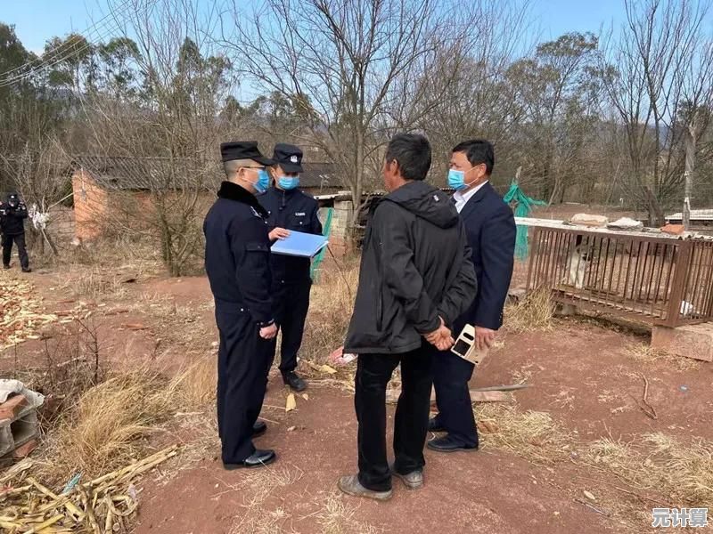 2025年动物餐厅520专属福利兑换码来袭，携手共度浪漫时刻