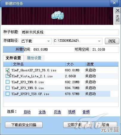 借助迅雷下载宝提升下载效率，尽享流畅网络新体验！