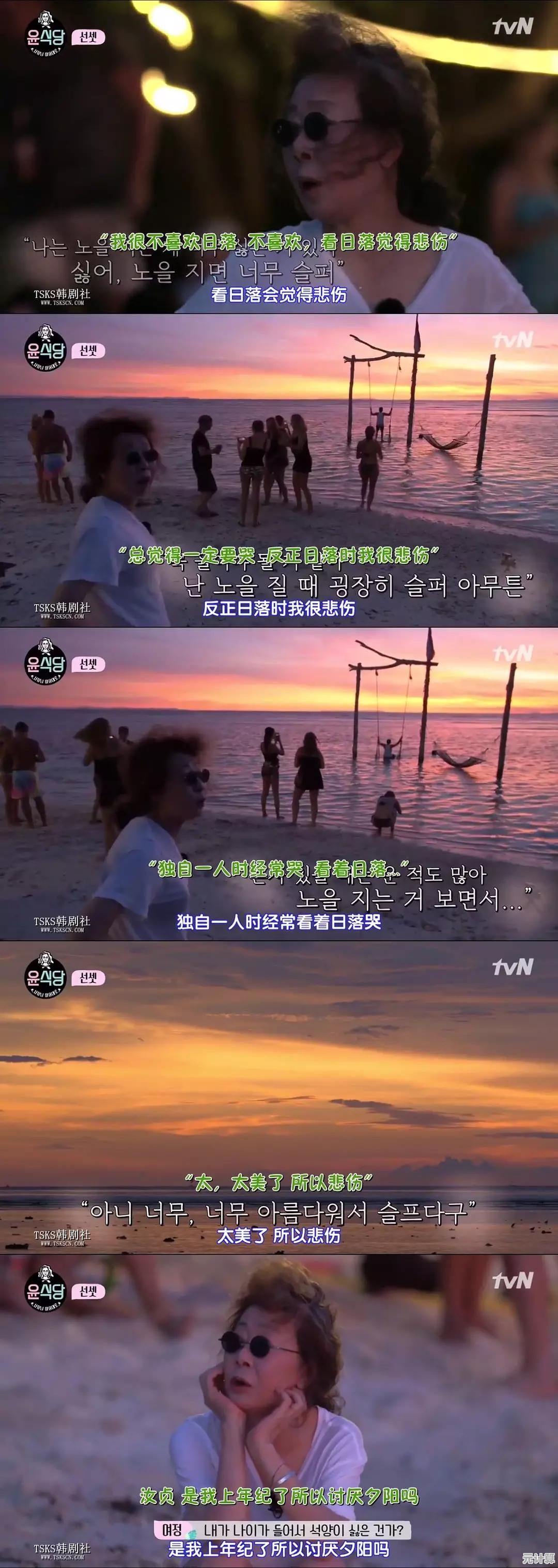 探索PD的多重定义：从专业术语到日常用法详解