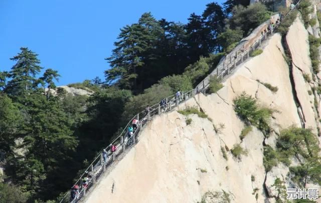如何根据天梯图精准选择R530显卡？关键解读与购买建议