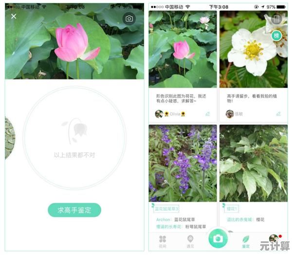 2025年必试的花朵休闲游戏分享，附详细下载方法与耐玩点评