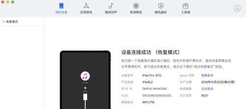 为何iPad充不进电？专家来支招，快速解决充电难题！