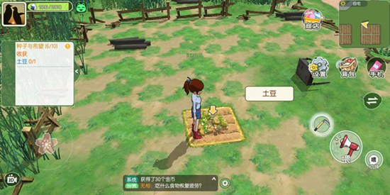 莱恩岛2025生存指南：新手玩家必学的现代荒岛开局技巧