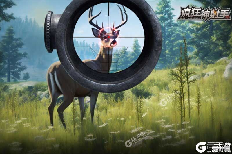 疯狂神射手2025新手必看：超全入门指南带你轻松上手