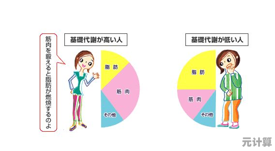 科学减脂系统方案：高效瘦身不再难，专业方法助你重塑健康体态