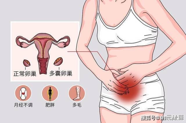 科学减脂系统方案：高效瘦身不再难，专业方法助你重塑健康体态