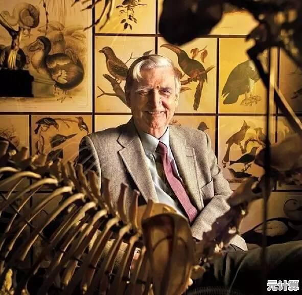 手机搜狐网信息快速获取秘诀：提升效率的实用技巧与建议