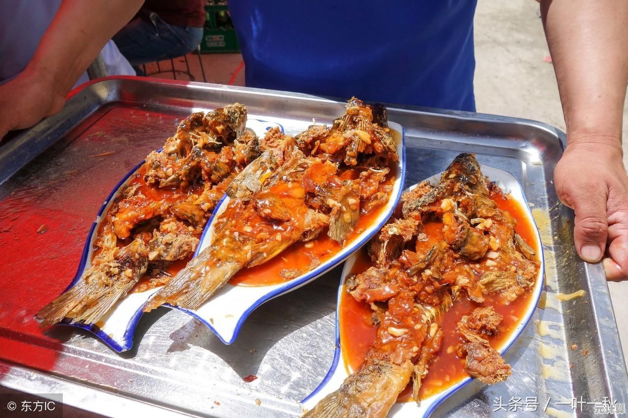 热爱烹饪却不知从何开始？飞机大厨国际版》让你轻松成为美食大厨！