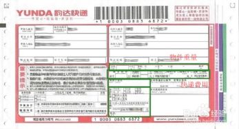 输入手机号码即刻查询快递单号并掌握全程物流详情