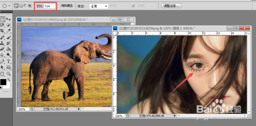 掌握Photoshop羽化快捷键，轻松实现专业级边缘柔化处理
