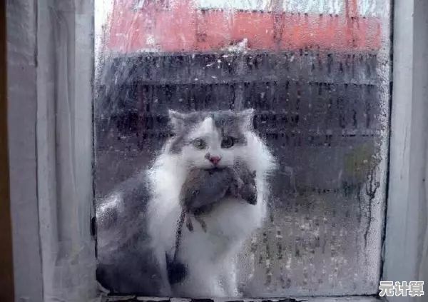 手速不够快？猫和蛋糕店》里的顾客可不会等你太久哦，你能跟上节奏吗？