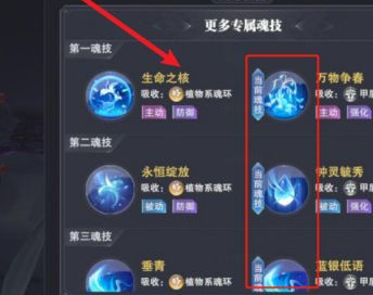 斗罗大陆魂师对决阿银2025全新魂环加点方案解析