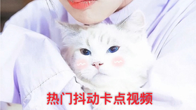 想体验搞怪兔子的魔性工厂？兔克创业记最新版》让你笑到停不下来！