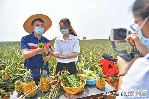 2025年激战2瓦比领域终极指南：定位广阔天空隐藏区域与彩蛋揭秘