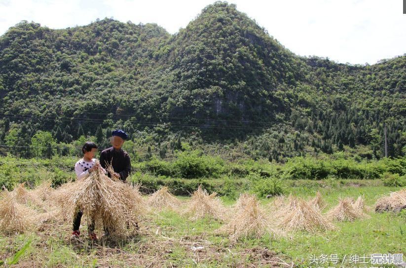 渴望在游戏中发挥创意？沙石镇时光》的多元玩法等你来挑战！