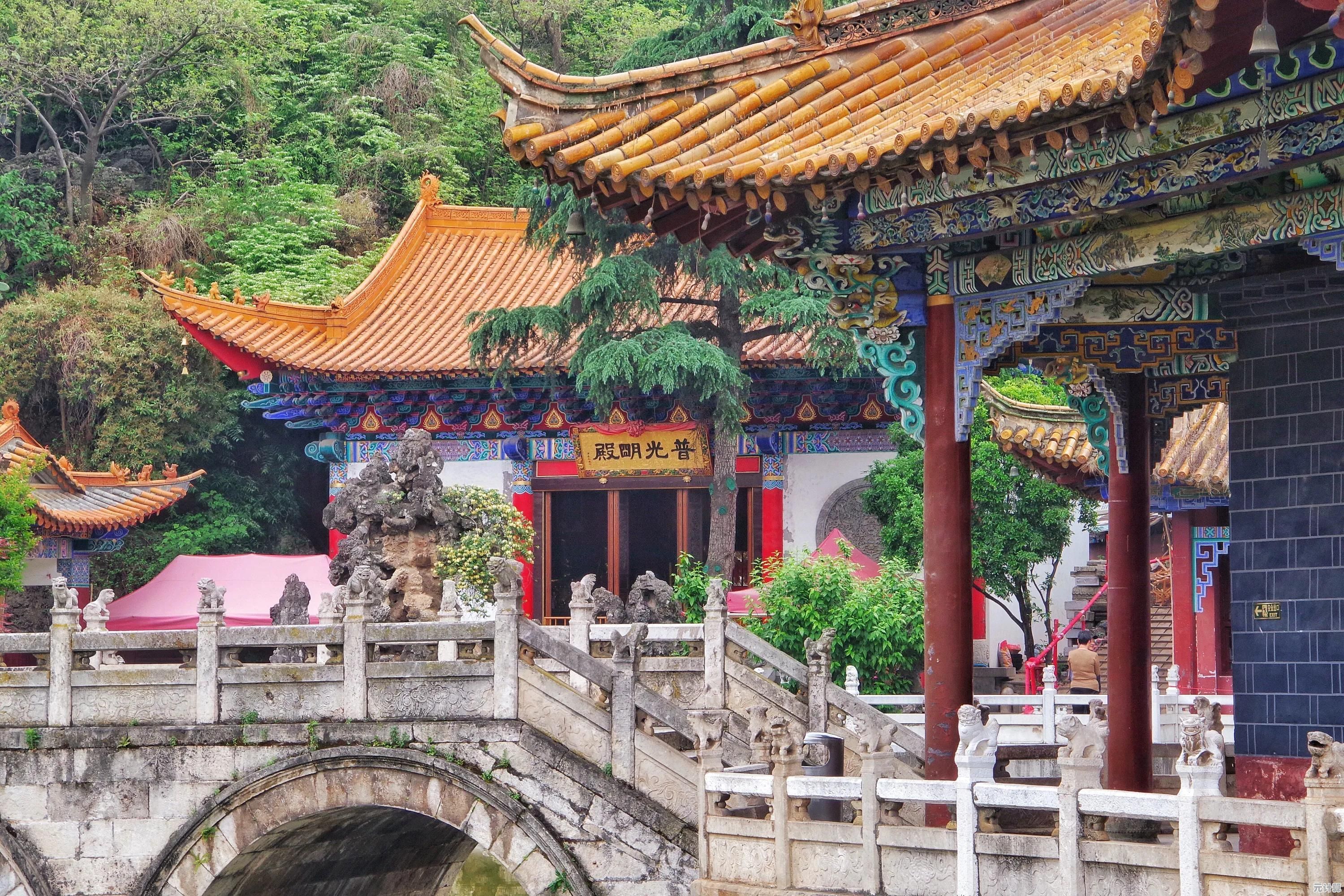 想体验烧脑推理？试试《动物园怪谈》你敢挑战自己的智商极限吗？