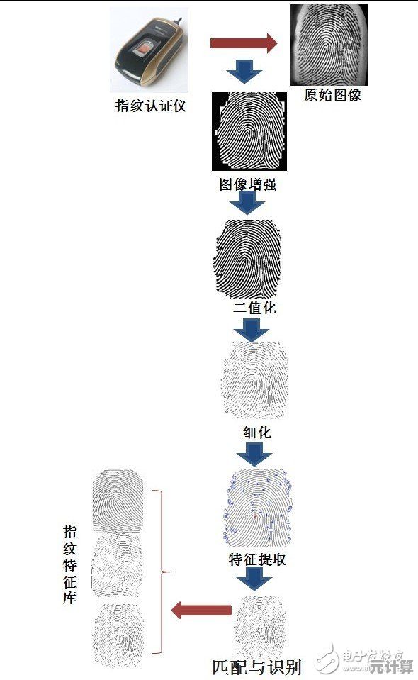 基于指纹识别的智能安防系统技术演进及其应用场景拓展