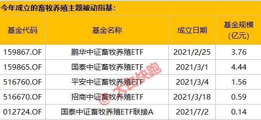 真凶追踪攻略2025：14关全线索分析与解谜步骤详解