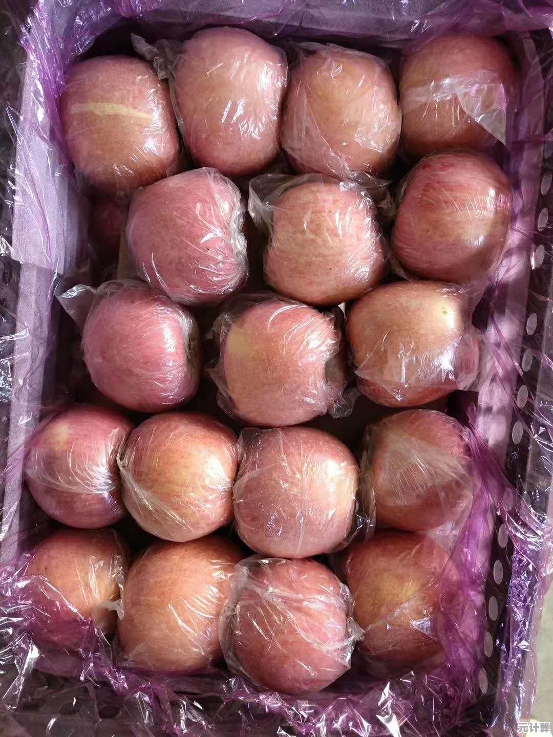 诱人苹果摄影集：每一张照片都散发着鲜嫩多汁的诱惑