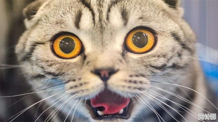还没试过用秘籍横扫街头？侠盗猎车手罪恶都市手机版》的隐藏乐趣你发掘了吗？