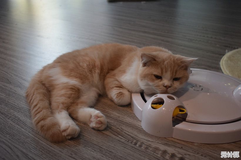 灰色猫咪胡安会陪你聊天？这款轻松养成的宠物手游你试过了吗？