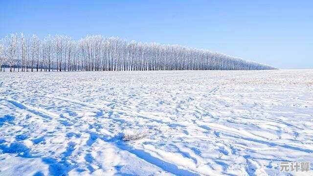 老话应验！2025秋分温度骤降，三九寒潮或创纪录，冬雪量引关注
