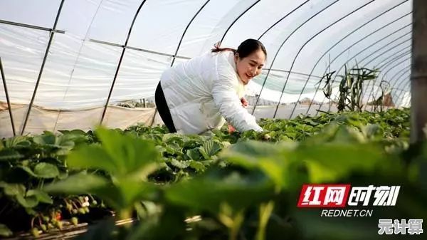 开放空间桃2025：沉浸式田园生活模拟，体验亲手栽培与无限创造的乐趣