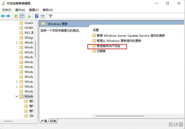 无需依赖官方推送，Win11手动升级详细教程来了！