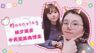 想体验心动律政与浪漫邂逅？未定事件簿》最新版等你来探索！