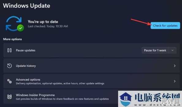 遇到Win11外接显示器无信号？问题排查与解决方法完整指南