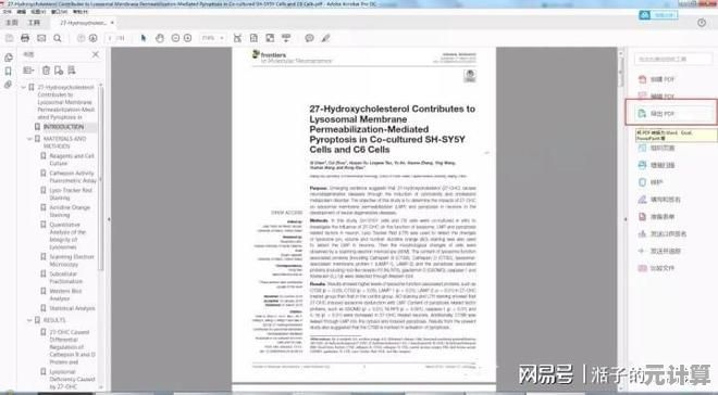揭秘PDF格式的奥秘：从基础构成到高级功能全解析