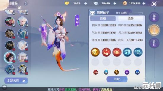 2025年宠物装备精选推荐，梦幻新诛仙》高效培养技巧大全