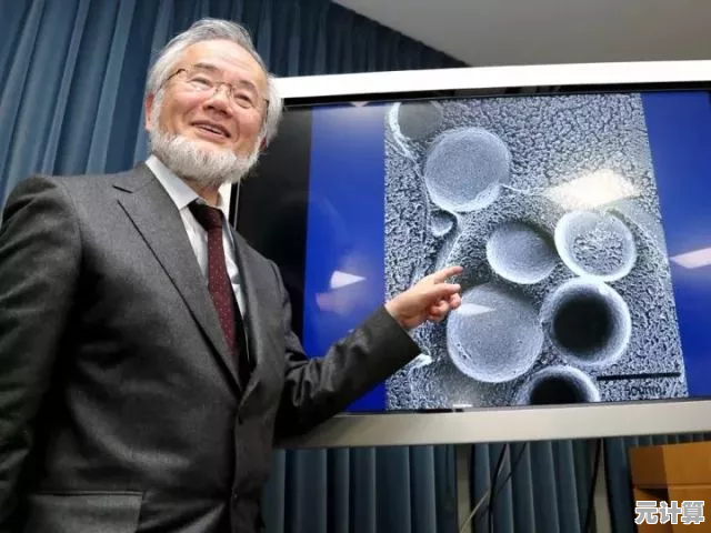 揭秘纣王秘术中的隐藏功法，2025年科学验证其修炼效率与安全性