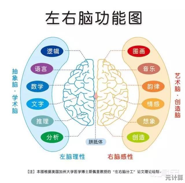 魔术分区的神秘面纱：深入解析其背后的数据布局与功能奥秘