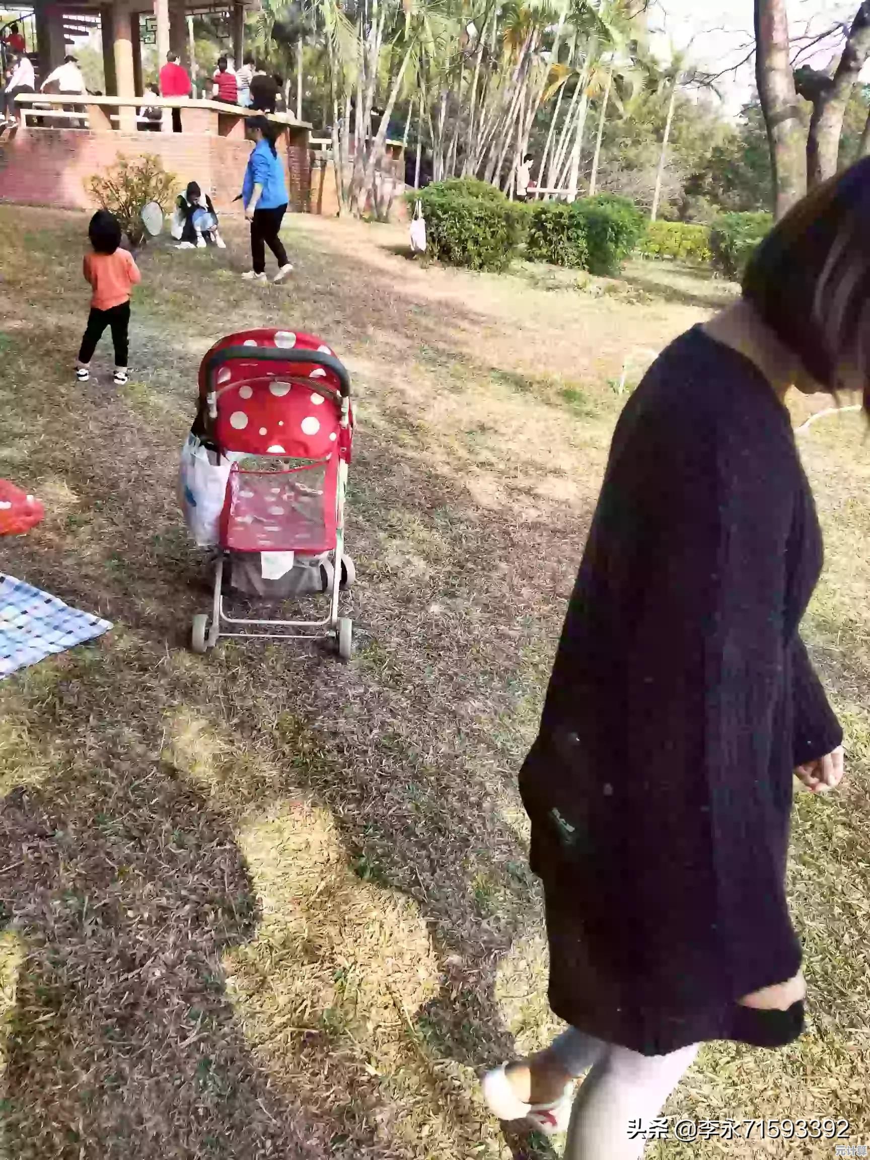 掌握多多云手机：实用操作指南与高效问题解决策略全解析