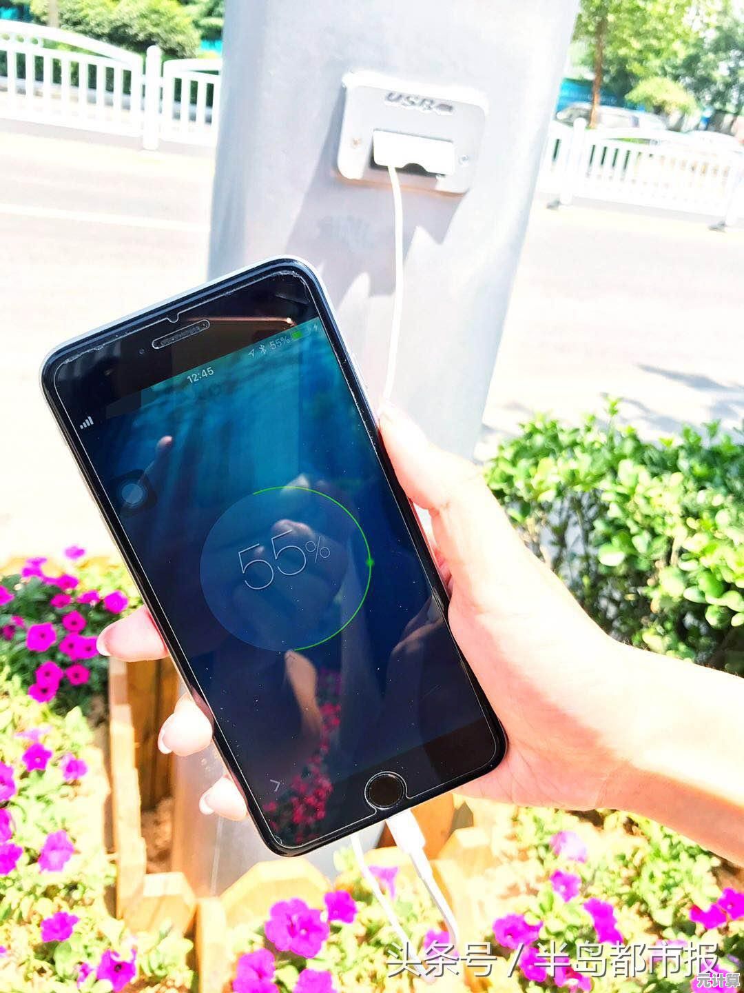 WiFi信号满格却无法上网？手机连接问题排查与解决方法分享
