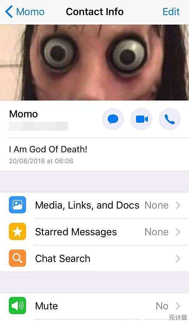 揭秘momo：探索这个神秘词汇背后的真正含义